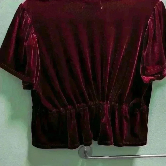 Urban Outfitters Burgundy Velvet Tie Top - Picture 2 of 2
